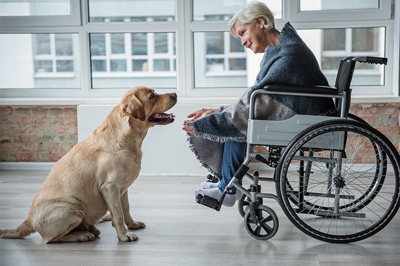 Angelic Palliative Care is about how you live
